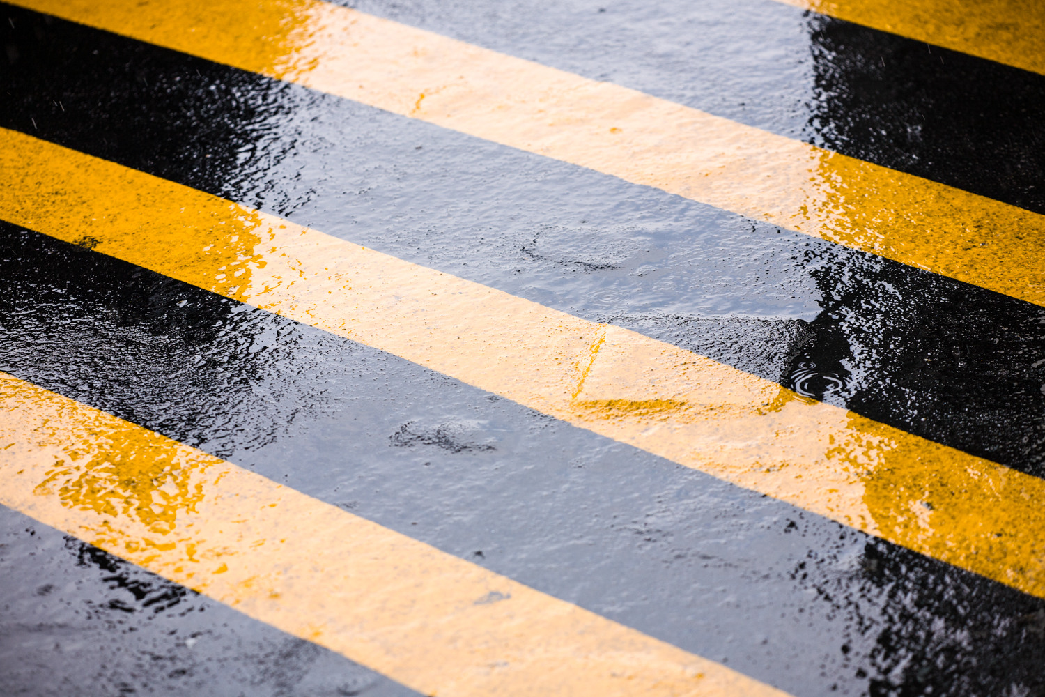 placeholder image-sq