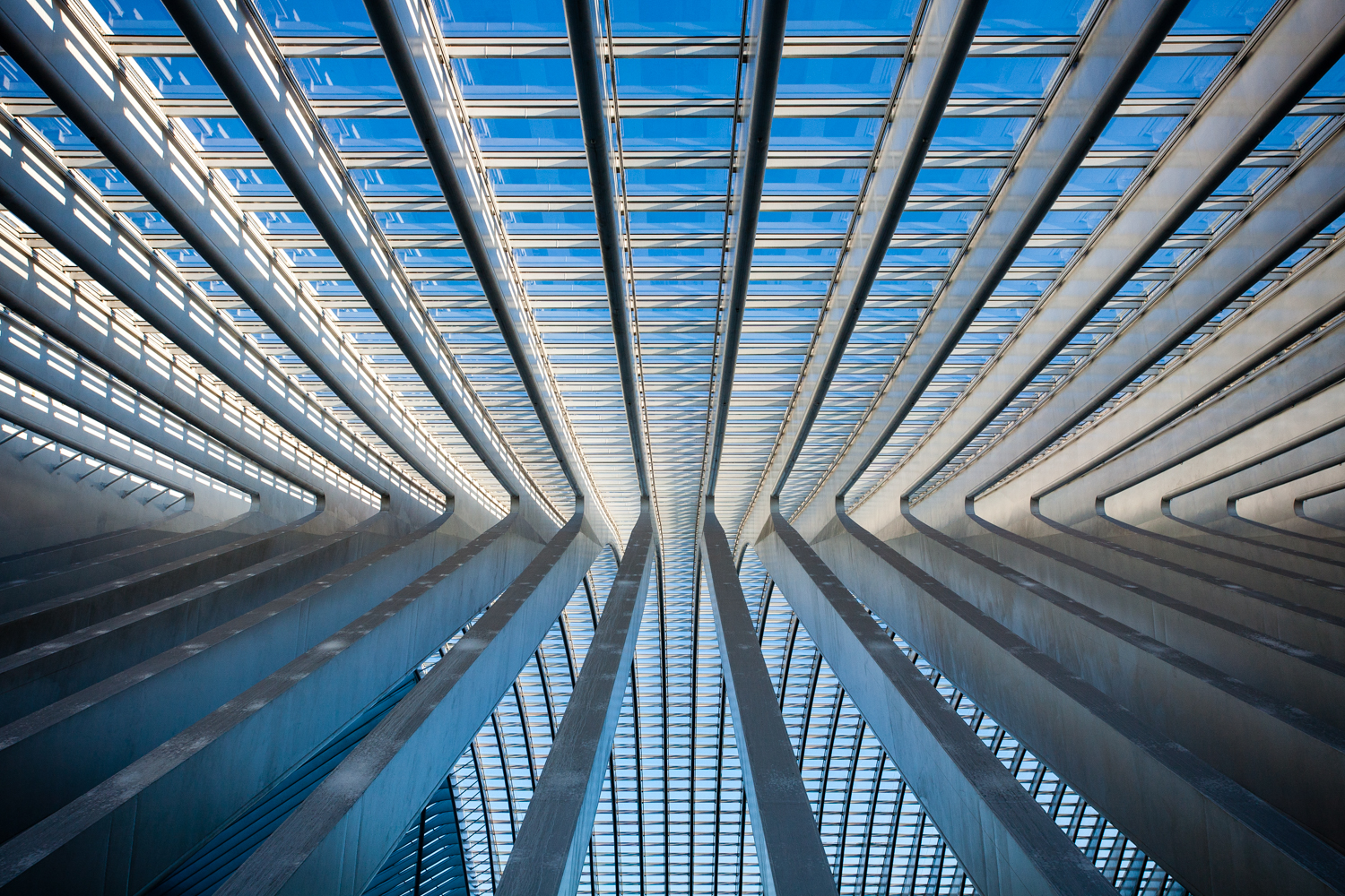 placeholder image-sq