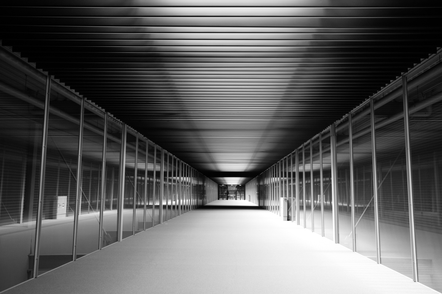 placeholder image-sq