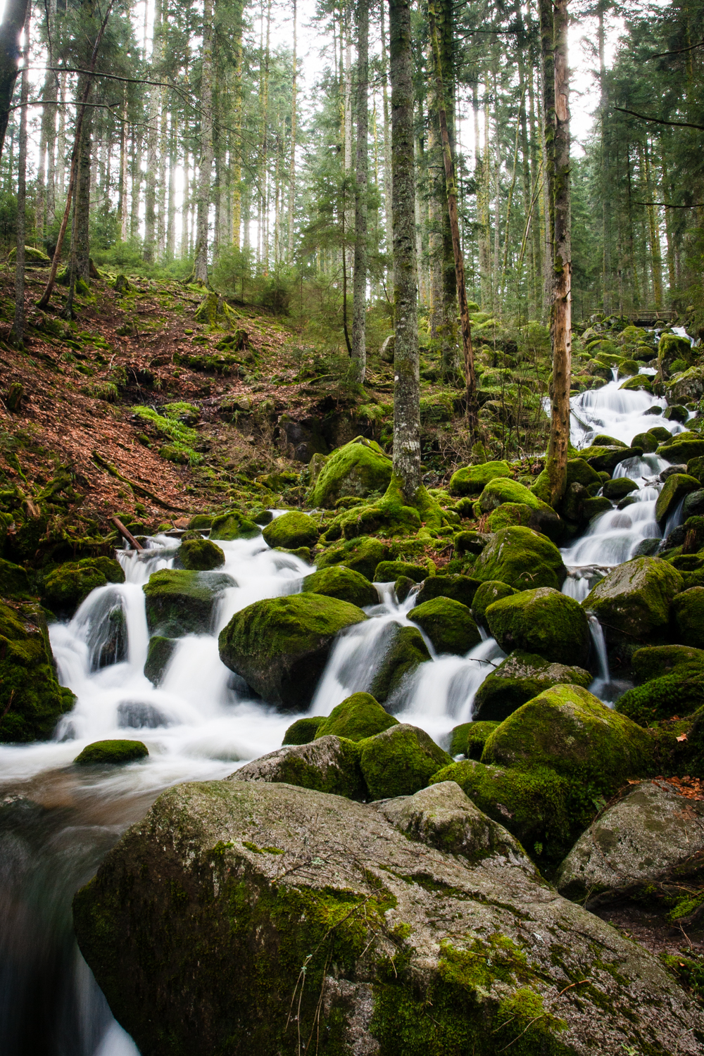 placeholder image-sq